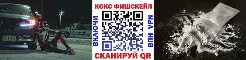 закладка  Томари  COCAIN FishScale 